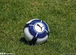 寻宝达人特,期双色球独,家攻略,重庆体彩,重庆体彩网,重庆体彩网官网,体育彩票,体彩大乐透,竞彩足球,体彩公益