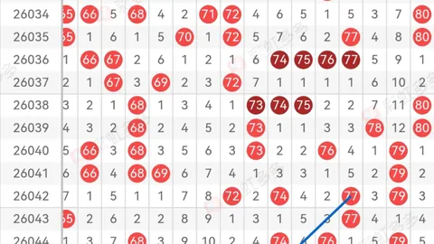第2026019期 彩仙人解析大乐透2026019期：前区杀