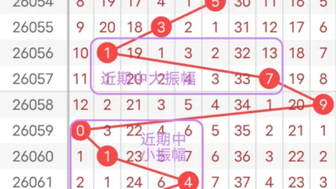 胡迪双色球2026031期推荐：软件分析首号09 16