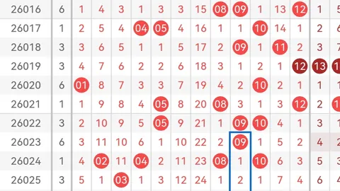 福彩3D第2026051期预测：重号热门，69组合或再中奖