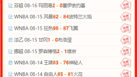 2026展望：洛佩斯与帕尔梅拉斯续约至2030年，阿根廷前锋未来动向